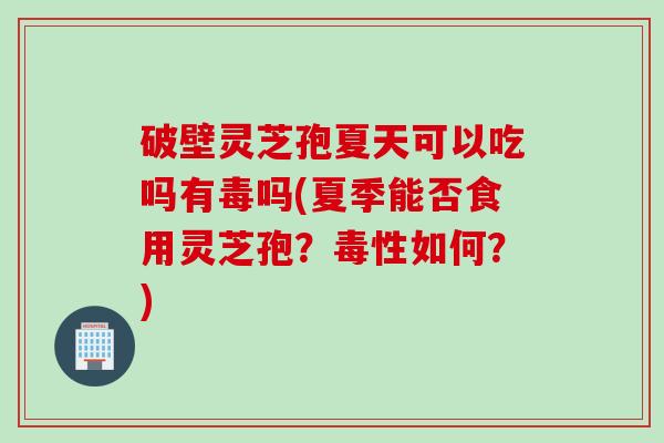 破壁灵芝孢夏天可以吃吗有毒吗(夏季能否食用灵芝孢？毒性如何？)