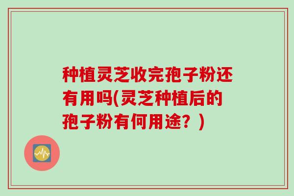 种植灵芝收完孢子粉还有用吗(灵芝种植后的孢子粉有何用途？)