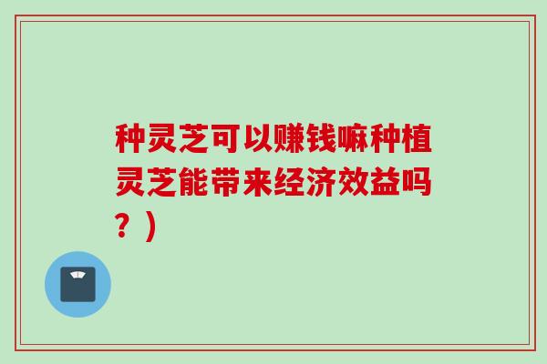 种灵芝可以赚钱嘛种植灵芝能带来经济效益吗？)