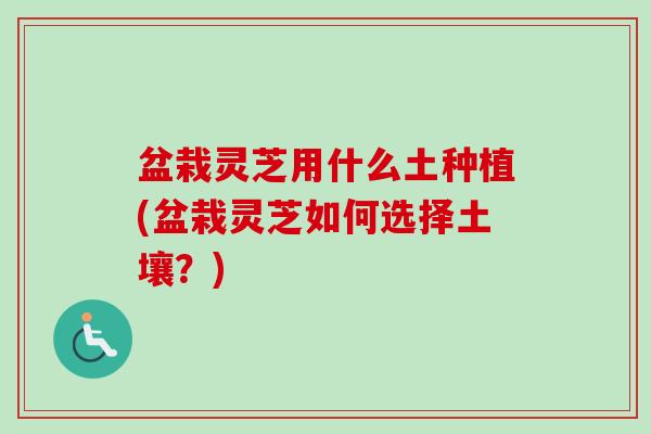 盆栽灵芝用什么土种植(盆栽灵芝如何选择土壤？)