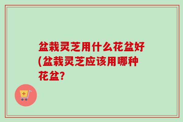 盆栽灵芝用什么花盆好(盆栽灵芝应该用哪种花盆？