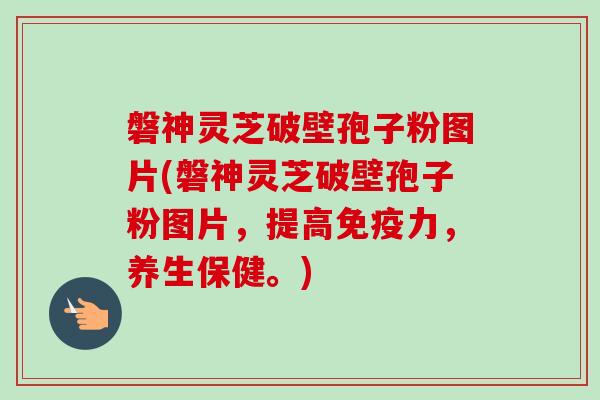 磐神灵芝破壁孢子粉图片(磐神灵芝破壁孢子粉图片,提高免疫力,养生保健。) 磐神灵芝破壁孢子粉图片(磐神灵芝破壁孢子粉图片,提高免疫力,养生保健。)