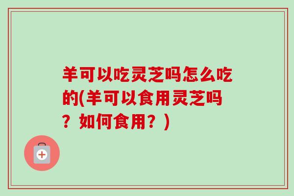 羊可以吃灵芝吗怎么吃的(羊可以食用灵芝吗？如何食用？)