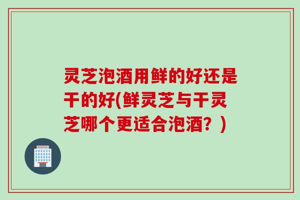 灵芝泡酒用鲜的好还是干的好(鲜灵芝与干灵芝哪个更适合泡酒？)