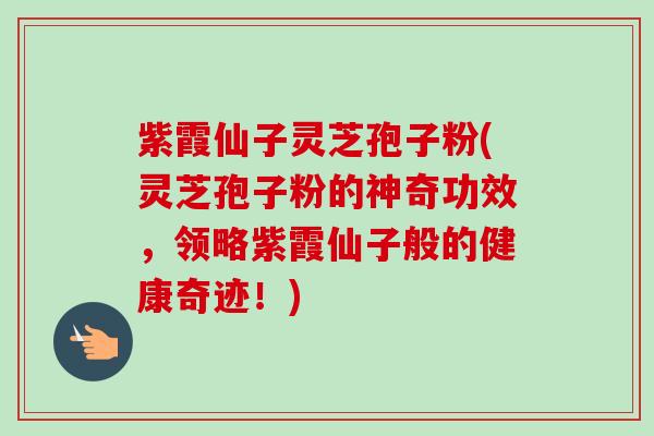 紫霞仙子灵芝孢子粉(灵芝孢子粉的神奇功效,领略紫霞仙子般的健康奇迹!) 紫霞仙子灵芝孢子粉(灵芝孢子粉的神奇功效,领略紫霞仙子般的健康奇迹!)