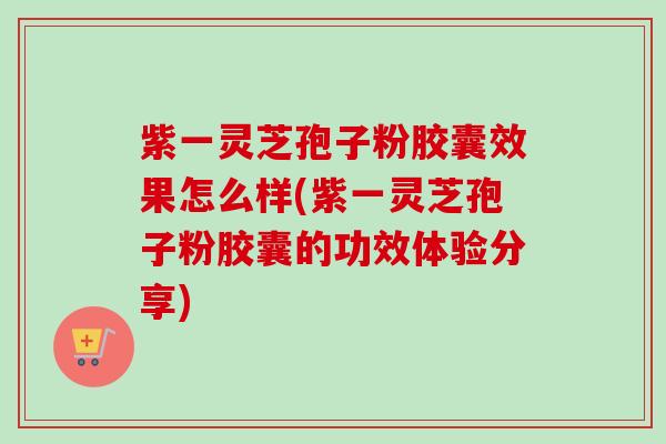 紫一灵芝孢子粉胶囊效果怎么样(紫一灵芝孢子粉胶囊的功效体验分享)