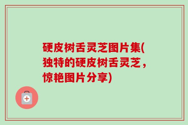 硬皮树舌灵芝图片集(独特的硬皮树舌灵芝，惊艳图片分享)