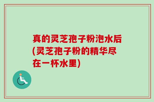 真的灵芝孢子粉泡水后(灵芝孢子粉的精华尽在一杯水里)