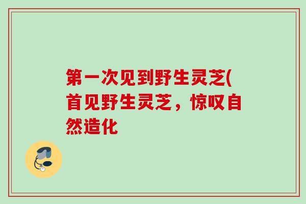 第一次见到野生灵芝(首见野生灵芝,惊叹自然造化 第一次见到野生灵芝(首见野生灵芝,惊叹自然造化