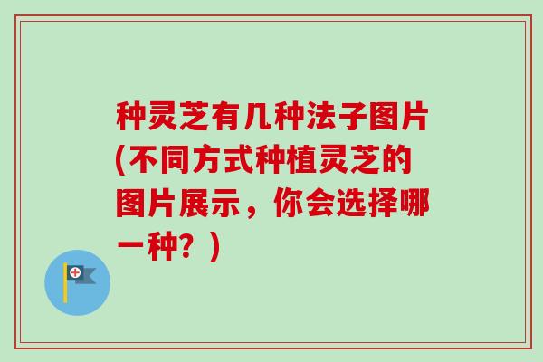 种灵芝有几种法子图片(不同方式种植灵芝的图片展示，你会选择哪一种？)