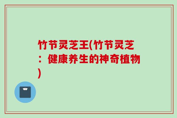 竹节灵芝王(竹节灵芝：健康养生的神奇植物)