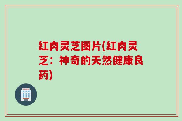 红肉灵芝图片(红肉灵芝：神奇的天然健康良药)