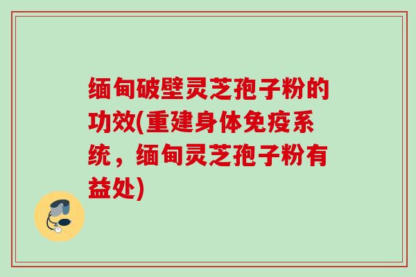 缅甸破壁灵芝孢子粉的功效(重建身体免疫系统，缅甸灵芝孢子粉有益处)