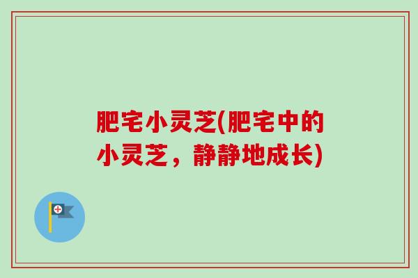 肥宅小灵芝(肥宅中的小灵芝,静静地成长) 肥宅小灵芝(肥宅中的小灵芝,静静地成长)