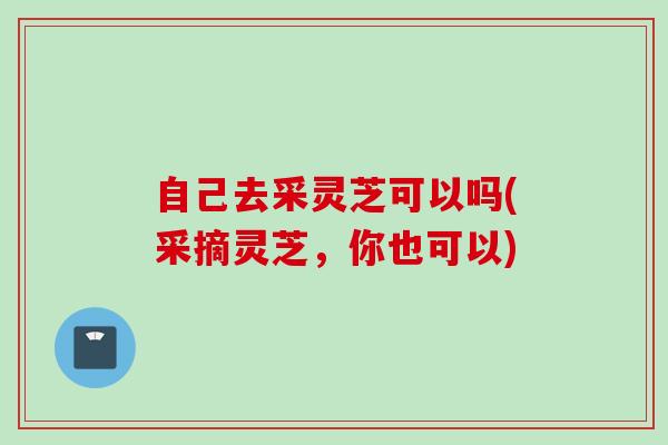自己去采灵芝可以吗(采摘灵芝，你也可以)