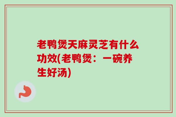 老鸭煲天麻灵芝有什么功效(老鸭煲：一碗养生好汤)