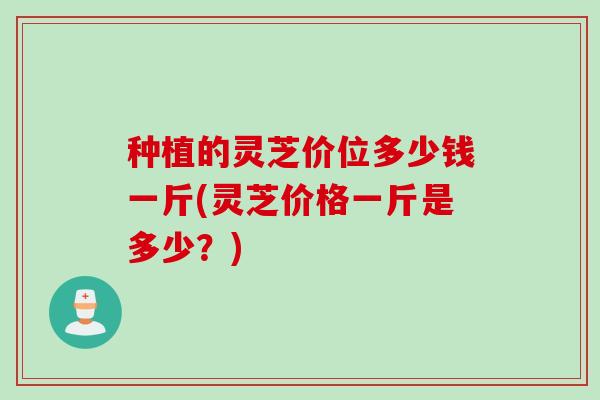 种植的灵芝价位多少钱一斤(灵芝价格一斤是多少？)
