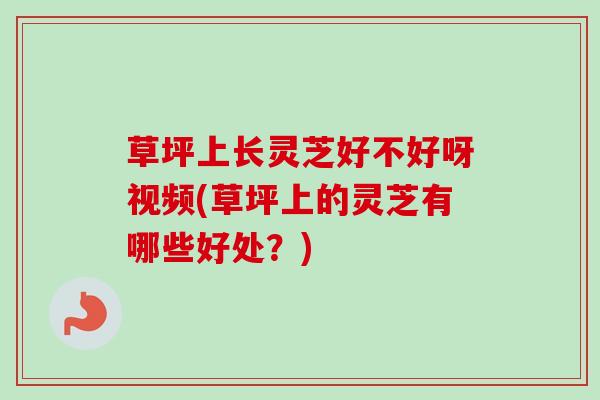 草坪上长灵芝好不好呀视频(草坪上的灵芝有哪些好处？)