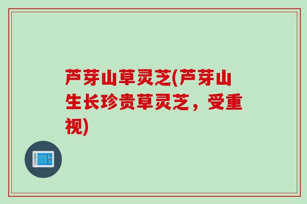 芦芽山草灵芝(芦芽山生长珍贵草灵芝，受重视)
