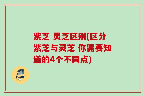 紫芝 灵芝区别(区分紫芝与灵芝 你需要知道的4个不同点)