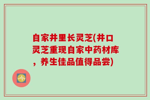 自家井里长灵芝(井口灵芝重现自家材库，养生佳品值得品尝)