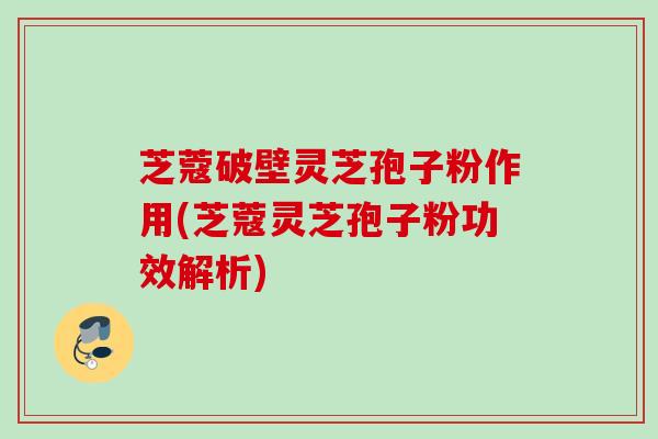 芝蔻破壁灵芝孢子粉作用(芝蔻灵芝孢子粉功效解析)