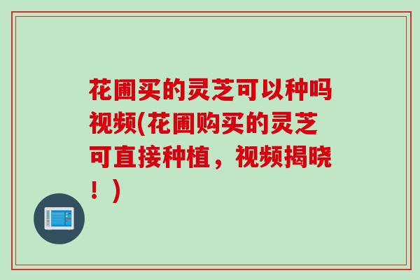 花圃买的灵芝可以种吗视频(花圃购买的灵芝可直接种植，视频揭晓！)