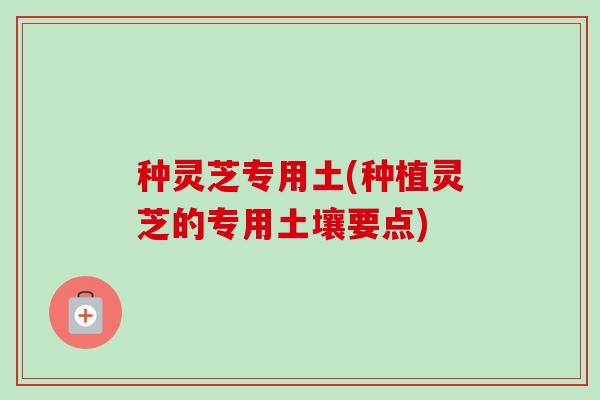 种灵芝专用土(种植灵芝的专用土壤要点) 种灵芝专用土(种植灵芝的专用土壤要点)