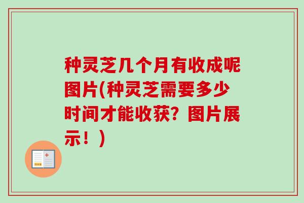 种灵芝几个月有收成呢图片(种灵芝需要多少时间才能收获？图片展示！)