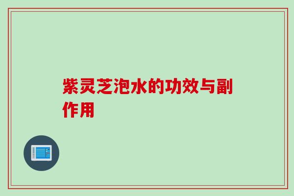 紫灵芝泡水的功效与副作用