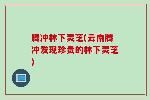 腾冲林下灵芝(云南腾冲发现珍贵的林下灵芝)