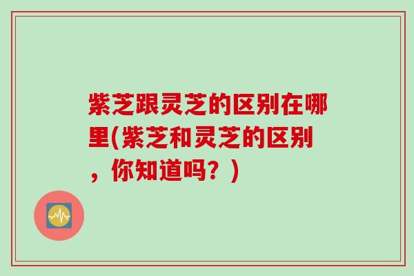 紫芝跟灵芝的区别在哪里(紫芝和灵芝的区别,你知道吗?) 紫芝跟灵芝的区别在哪里(紫芝和灵芝的区别,你知道吗?)