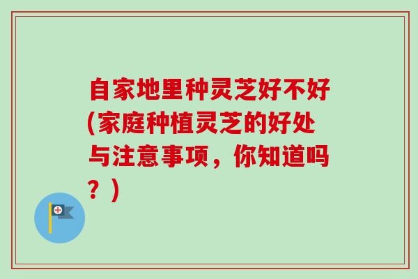 自家地里种灵芝好不好(家庭种植灵芝的好处与注意事项，你知道吗？)