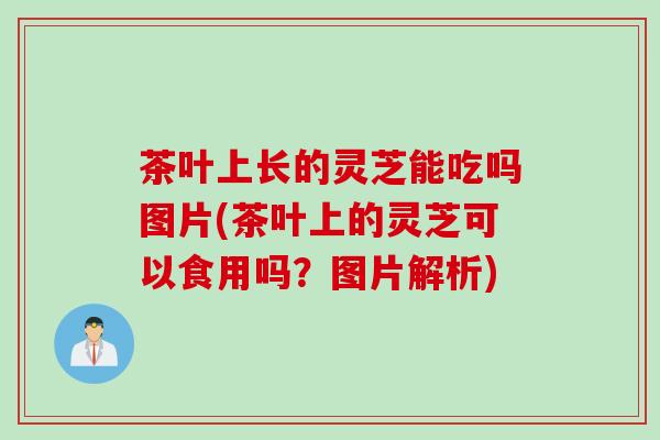 茶叶上长的灵芝能吃吗图片(茶叶上的灵芝可以食用吗？图片解析)