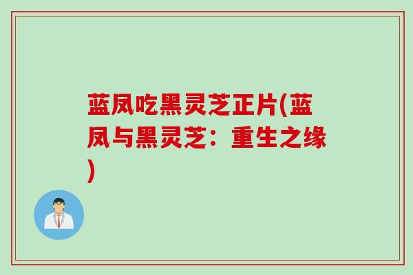 蓝凤吃黑灵芝正片(蓝凤与黑灵芝：重生之缘)