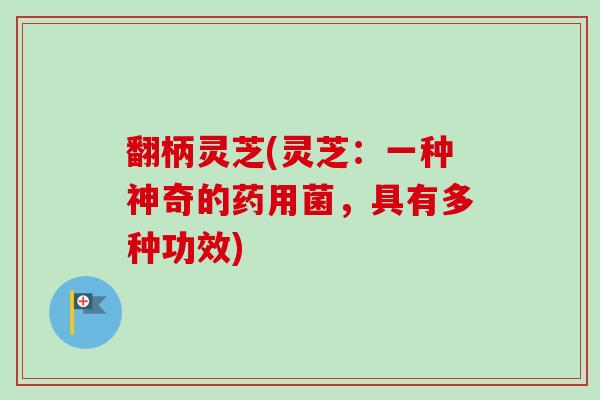 翻柄灵芝(灵芝：一种神奇的药用菌，具有多种功效)
