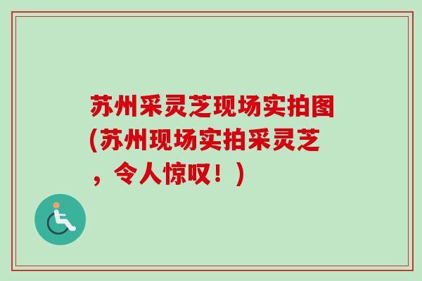 苏州采灵芝现场实拍图(苏州现场实拍采灵芝，令人惊叹！)