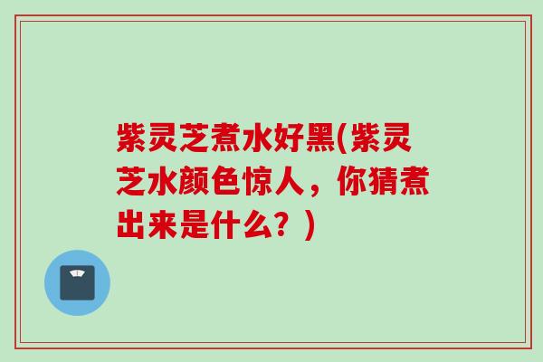 紫灵芝煮水好黑(紫灵芝水颜色惊人,你猜煮出来是什么?) 紫灵芝煮水好黑(紫灵芝水颜色惊人,你猜煮出来是什么?)