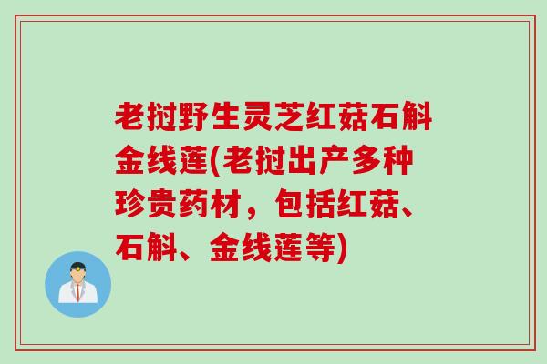 老挝野生灵芝红菇石斛金线莲(老挝出产多种珍贵药材，包括红菇、石斛、金线莲等)
