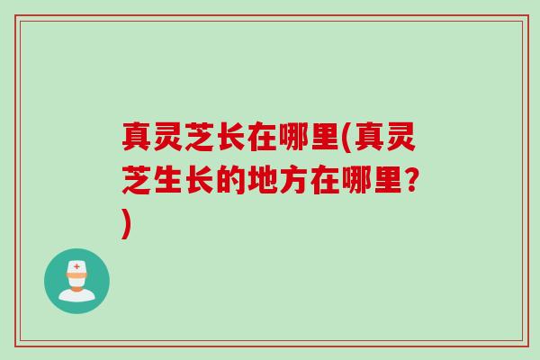 真灵芝长在哪里(真灵芝生长的地方在哪里？)
