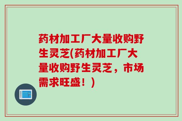 药材加工厂大量收购野生灵芝(药材加工厂大量收购野生灵芝，市场需求旺盛！)