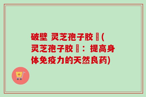 破壁 灵芝孢子胶堯(灵芝孢子胶堯:提高身体免疫力的天然良药) 破壁 灵芝孢子胶堯(灵芝孢子胶堯:提高身体免疫力的天然良药)