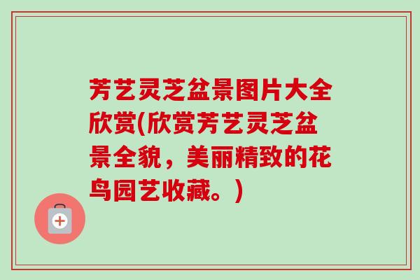 芳艺灵芝盆景图片大全欣赏(欣赏芳艺灵芝盆景全貌，美丽精致的花鸟园艺收藏。)