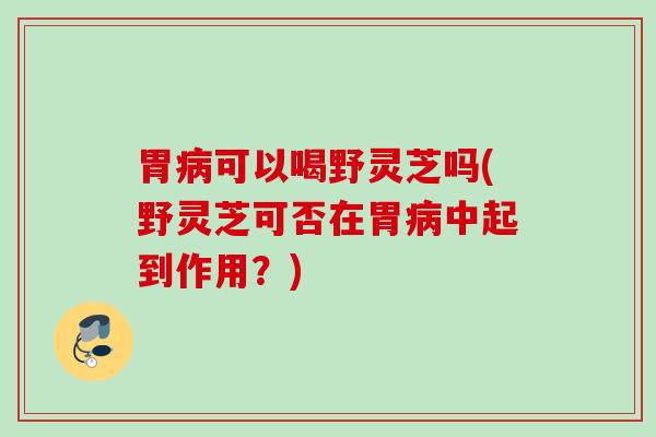 胃可以喝野灵芝吗(野灵芝可否在胃中起到作用？)