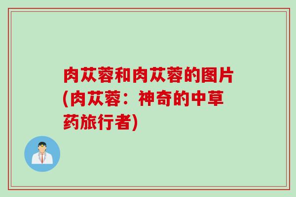 肉苁蓉和肉苁蓉的图片(肉苁蓉：神奇的中草药旅行者)