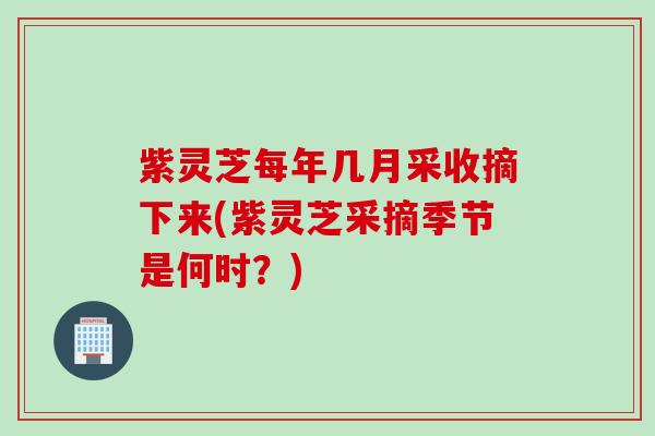 紫灵芝每年几月采收摘下来(紫灵芝采摘季节是何时？)