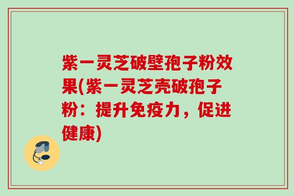 紫一灵芝破壁孢子粉效果(紫一灵芝壳破孢子粉:提升免疫力,促进健康) 紫一灵芝破壁孢子粉效果(紫一灵芝壳破孢子粉:提升免疫力,促进健康)