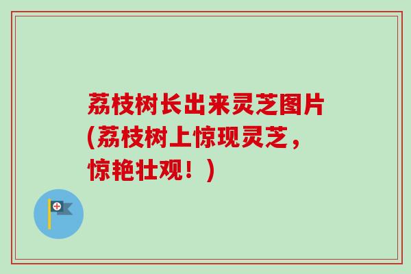 荔枝树长出来灵芝图片(荔枝树上惊现灵芝，惊艳壮观！)