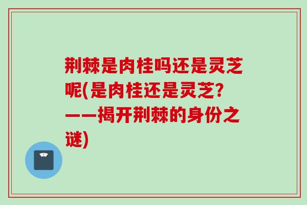 荆棘是肉桂吗还是灵芝呢(是肉桂还是灵芝？——揭开荆棘的身份之谜)