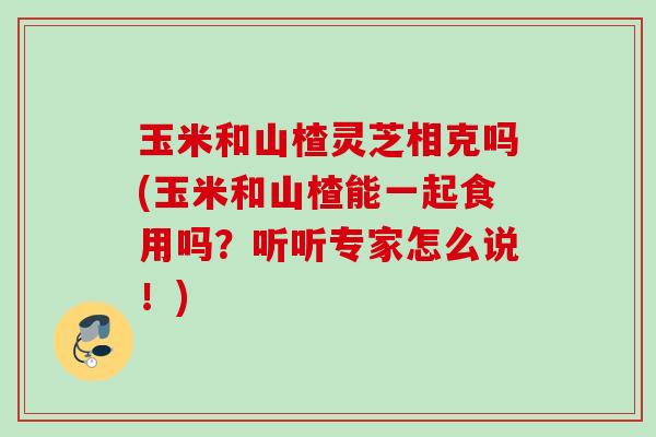 玉米和山楂灵芝相克吗(玉米和山楂能一起食用吗？听听专家怎么说！)